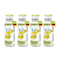 Fruttifixx Holunder Limette Minze-Sirup - !Kurzes MHD 06.11.2026! - 4er Paket