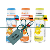 Fruttifixx Eistee-Bundle